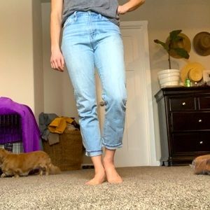 Madewell Perfect Summer Jean